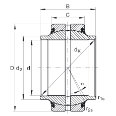 關(guān)節(jié)軸承 GE20-HO-2RS, 根據(jù) DIN ISO 12 240-1 標(biāo)準(zhǔn), 需維護(hù)，兩側(cè)唇密封