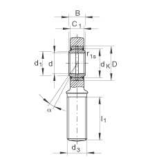 桿端軸承 GAL25-DO, 根據(jù) DIN ISO 12 240-4 標準，帶左旋外螺紋，需維護